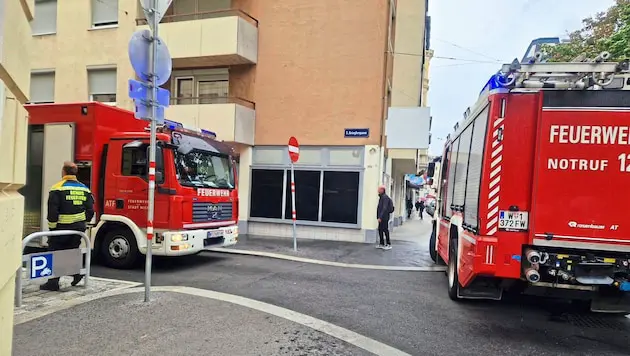 Возвращение "кислотной банды": в Вене обнесены квартиры в трёх районах